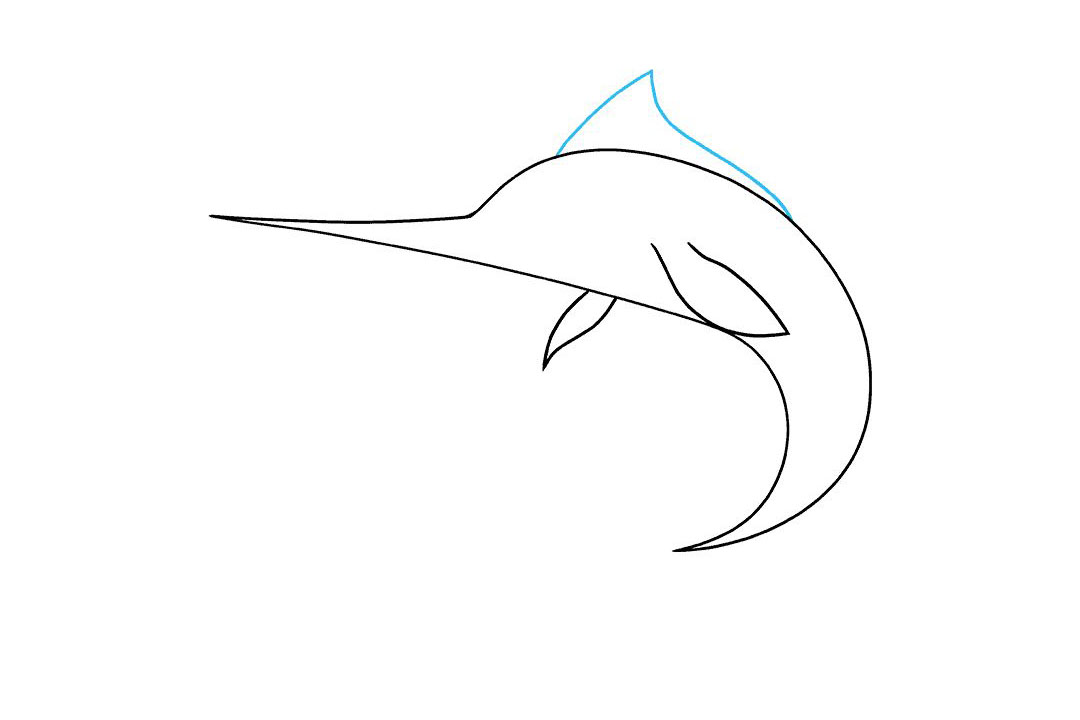 如何画旗鱼简笔画-图3