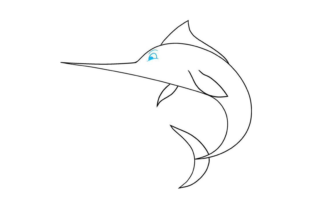 如何画旗鱼简笔画-图5