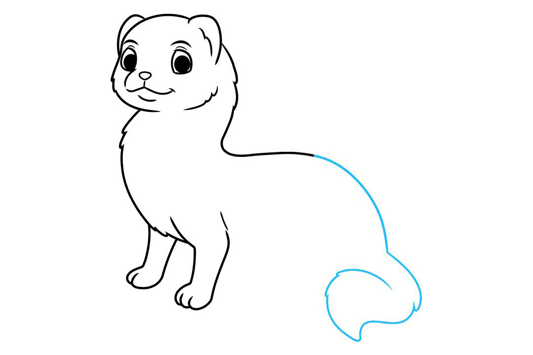 雪貂怎么画-图6