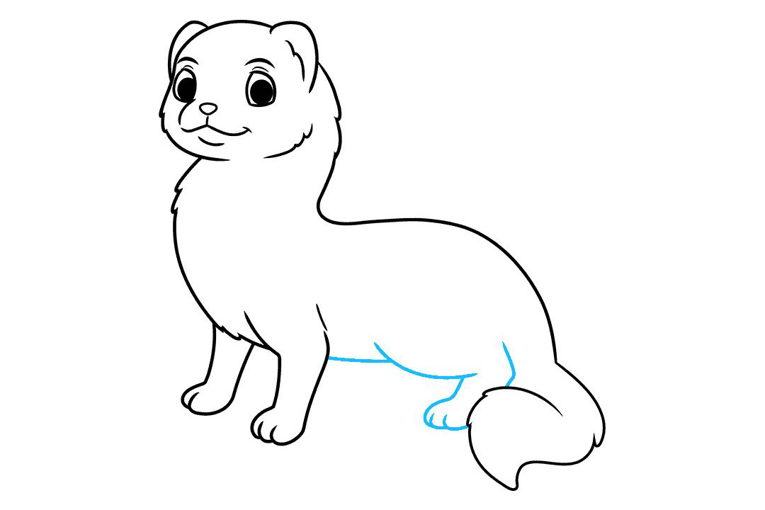 雪貂怎么画-图7