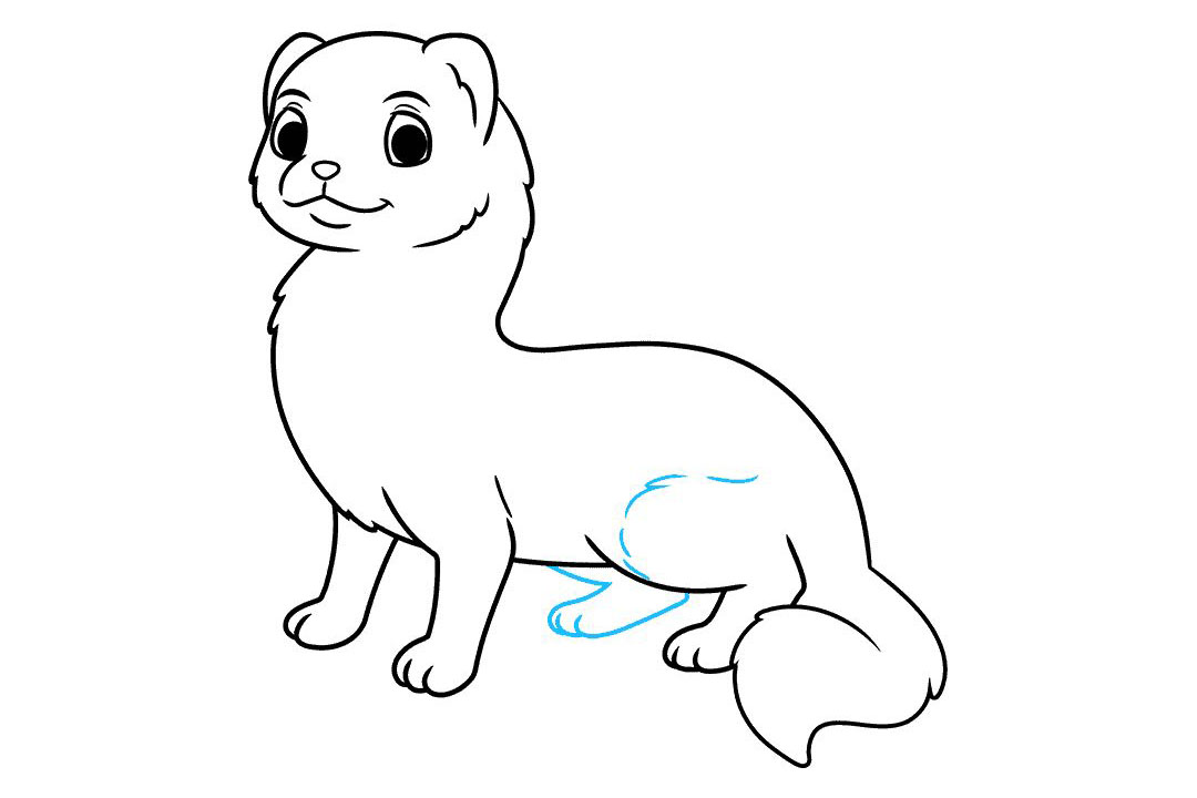 雪貂怎么画-图8