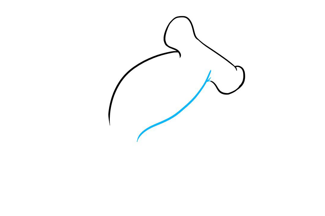 锤头鲨怎么画-图3