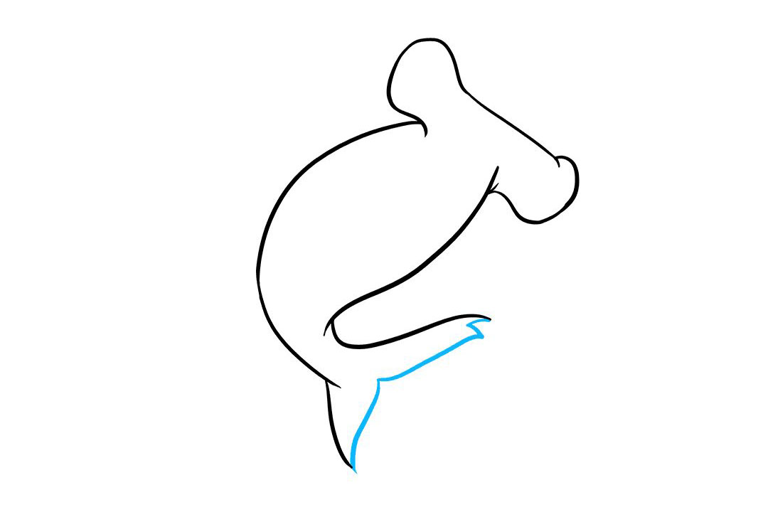 锤头鲨怎么画-图5