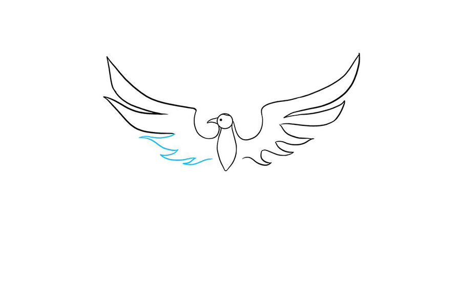 如何画凤凰-图6