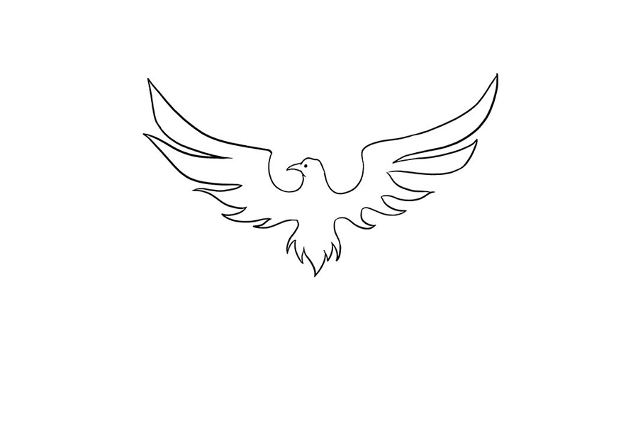 如何画凤凰-图8