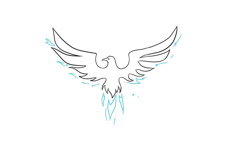 如何画凤凰-图9
