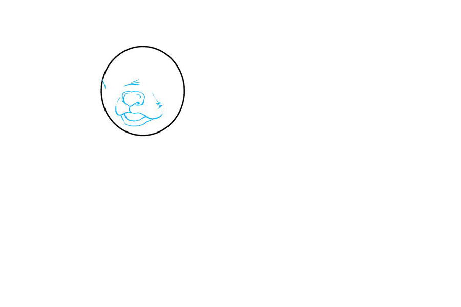 如何画柯基犬-图2