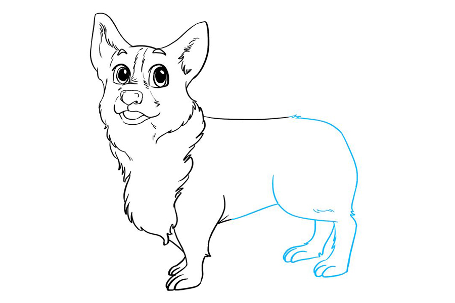 如何画柯基犬-图8