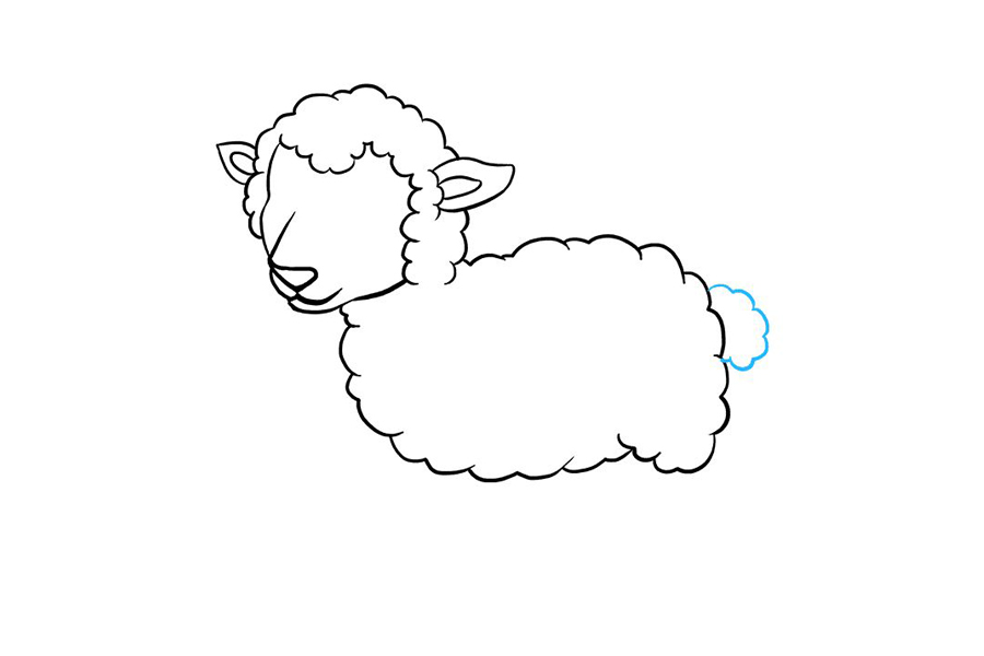 如何画小羊羔-图5