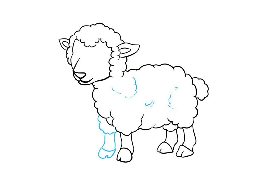 如何画小羊羔-图8