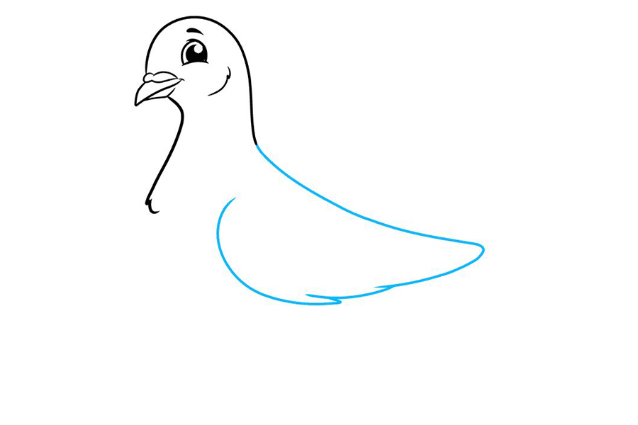 如何画鸽子-图4
