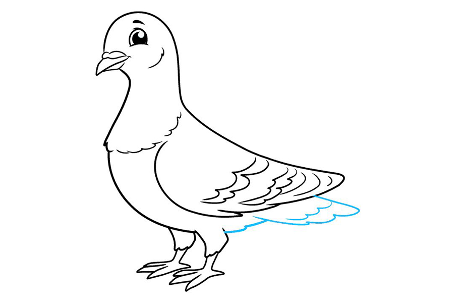 如何画鸽子-图9