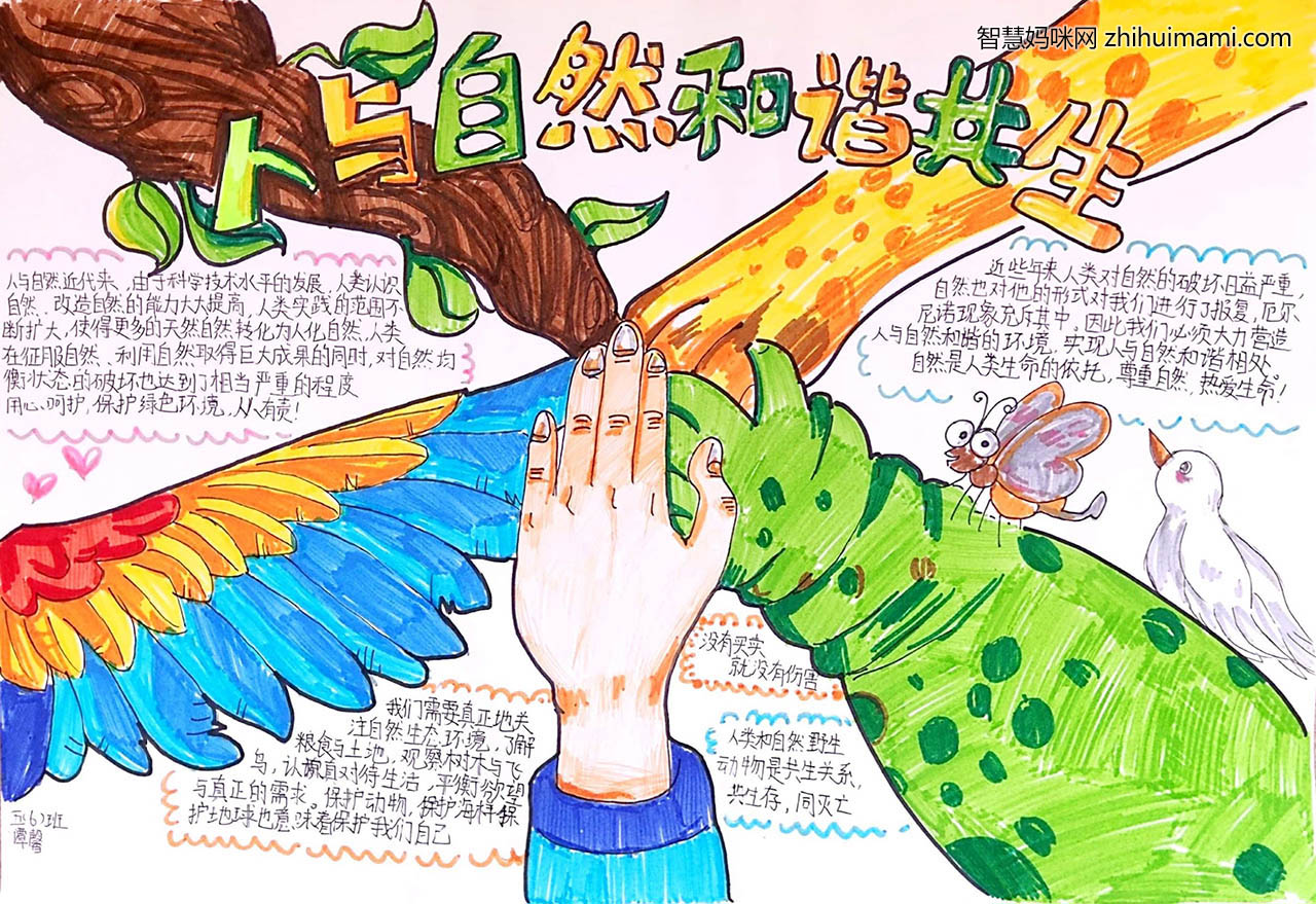 关于保护动物的手抄报图片及内容-图2