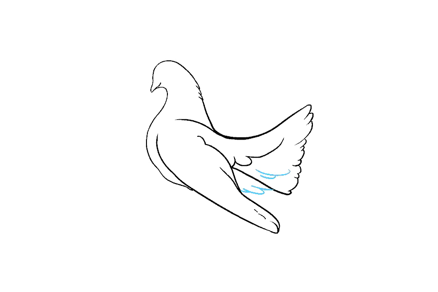 鸽子怎么画-图11