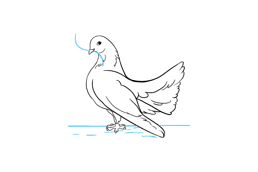 鸽子怎么画-图18