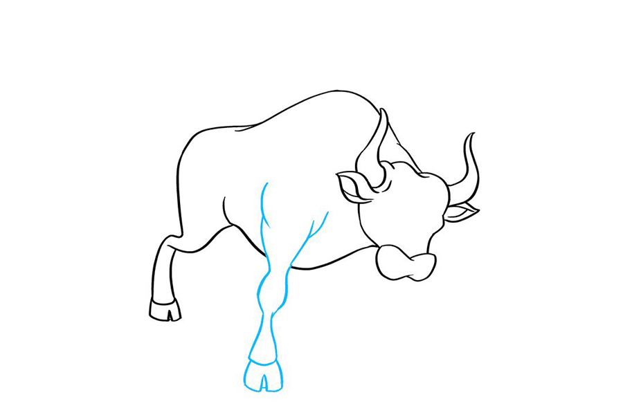 如何画公牛-图6