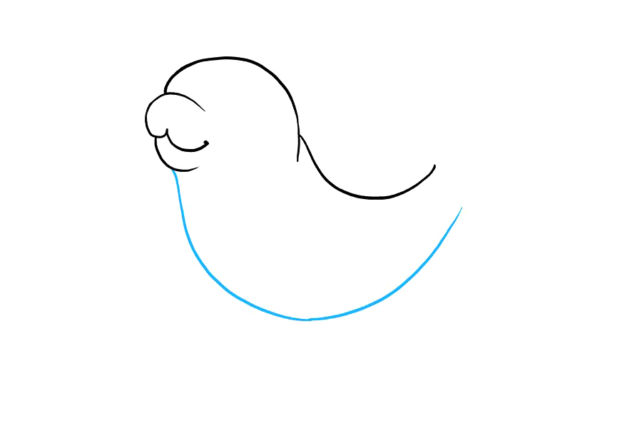 如何画海豹宝宝-图3