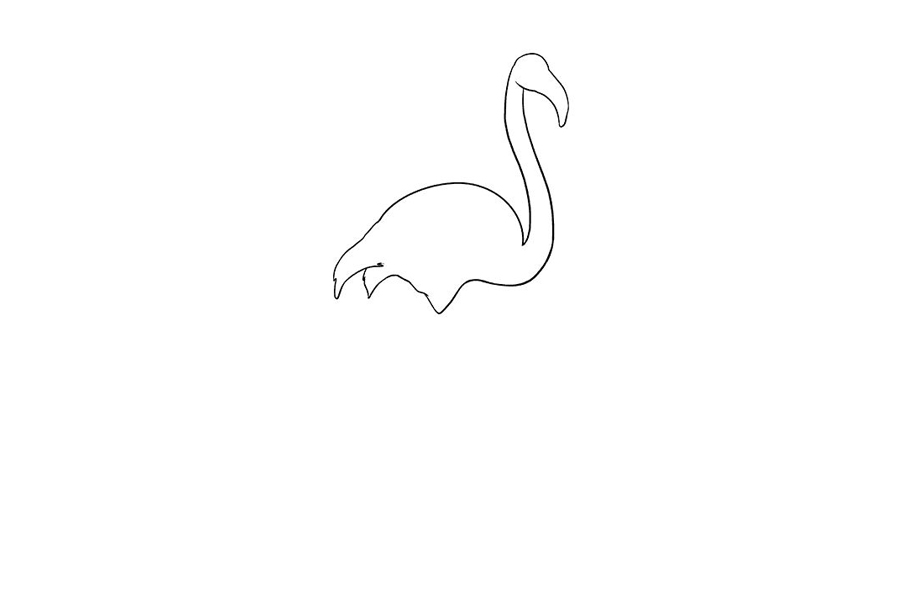 如何画火烈鸟-图5