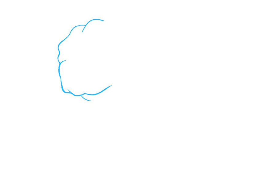 斗牛犬怎么画-图1