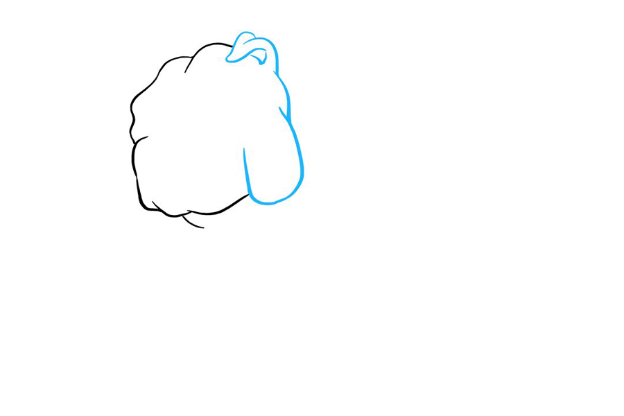 斗牛犬怎么画-图2