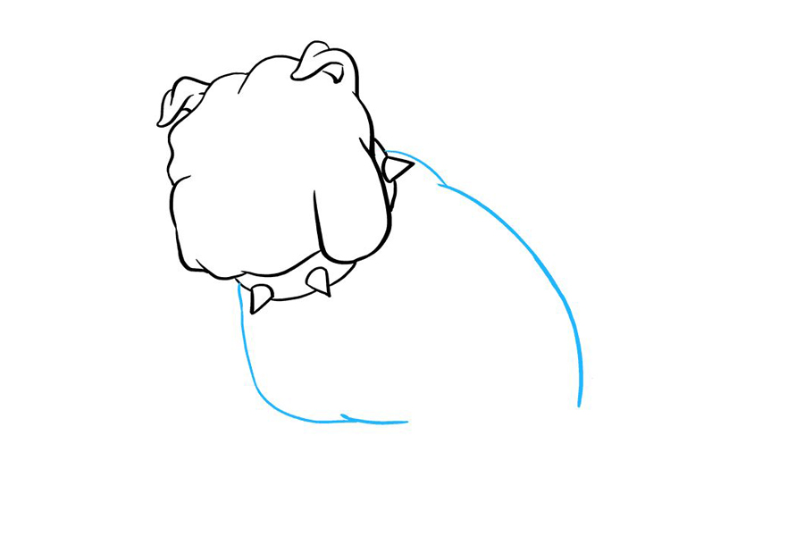 斗牛犬怎么画-图4
