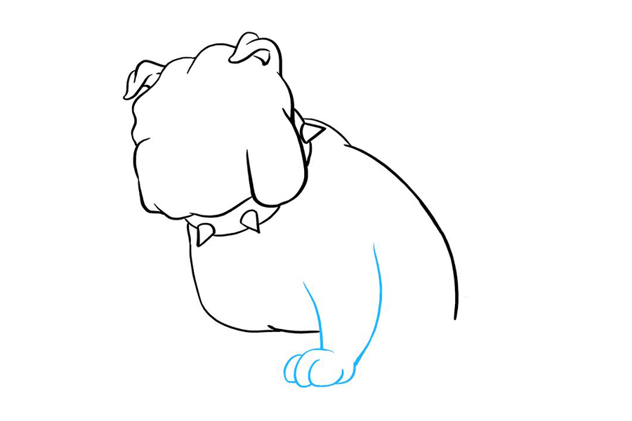 斗牛犬怎么画-图5