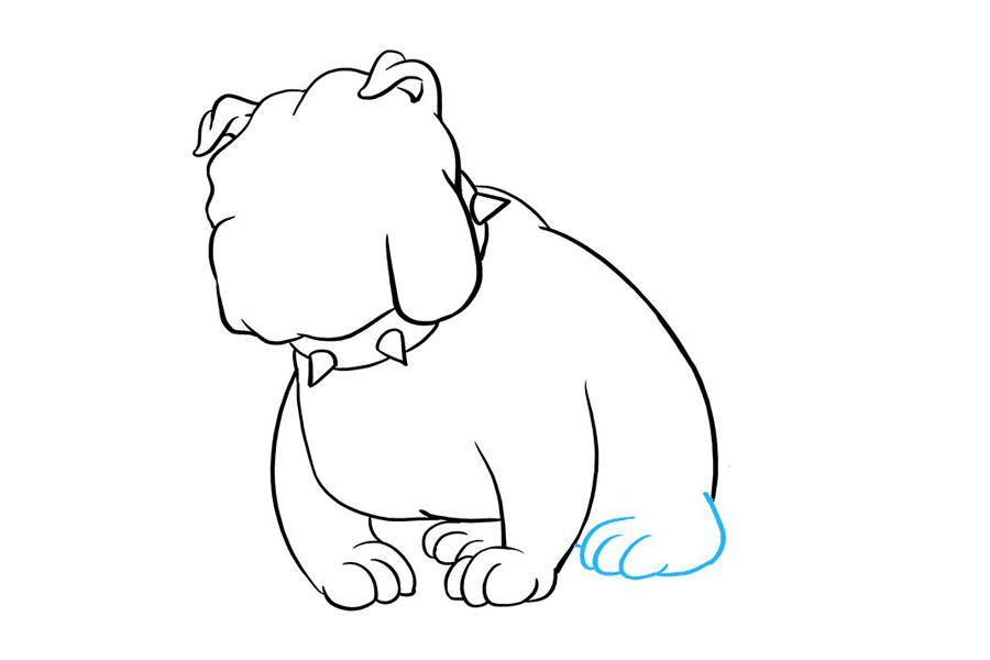 斗牛犬怎么画-图7