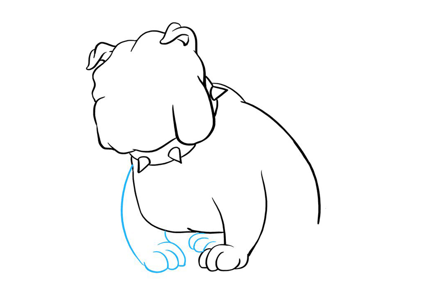 斗牛犬怎么画-图6