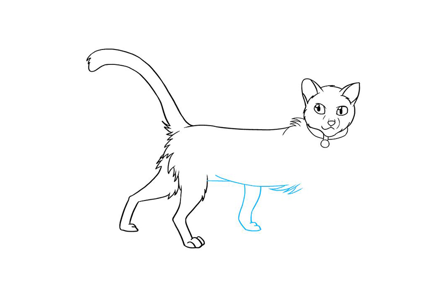 斗士猫怎么画-图8