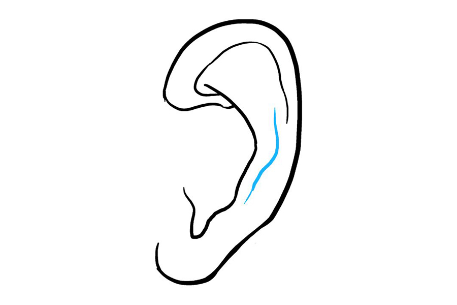 如何画耳朵-图7