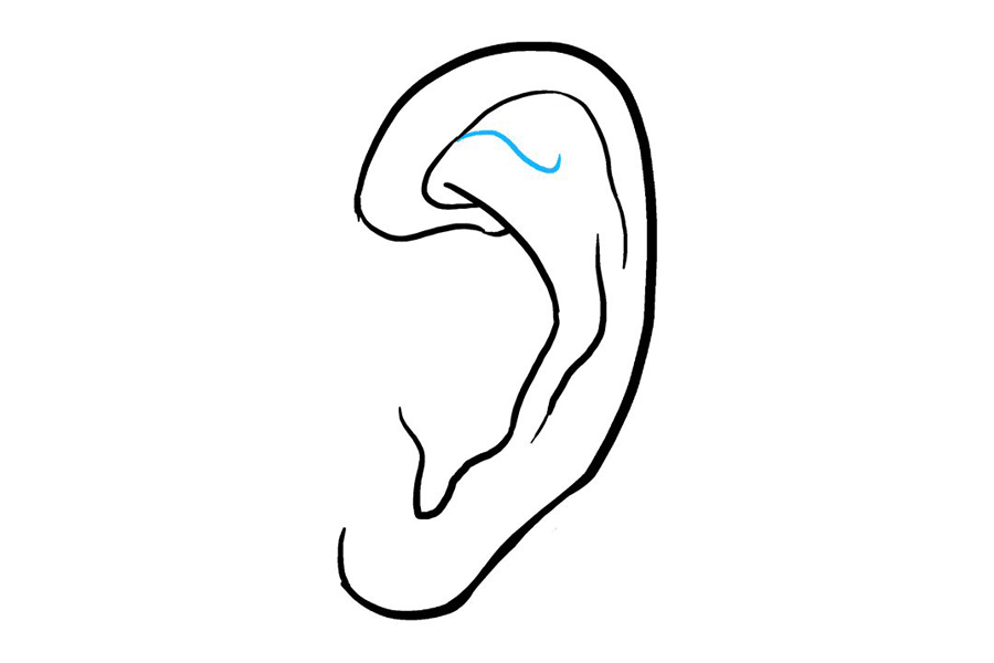如何画耳朵-图8