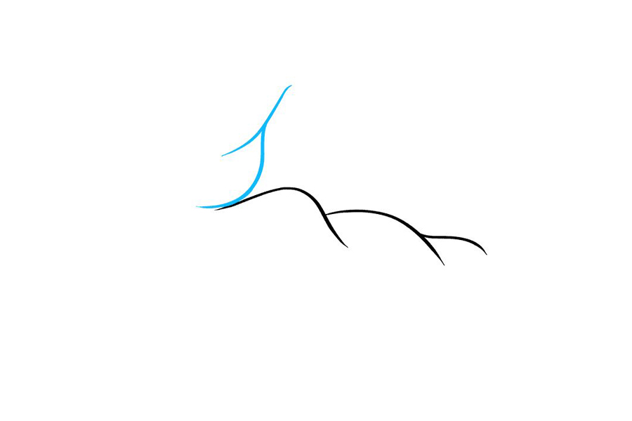 如何画二头肌-图3