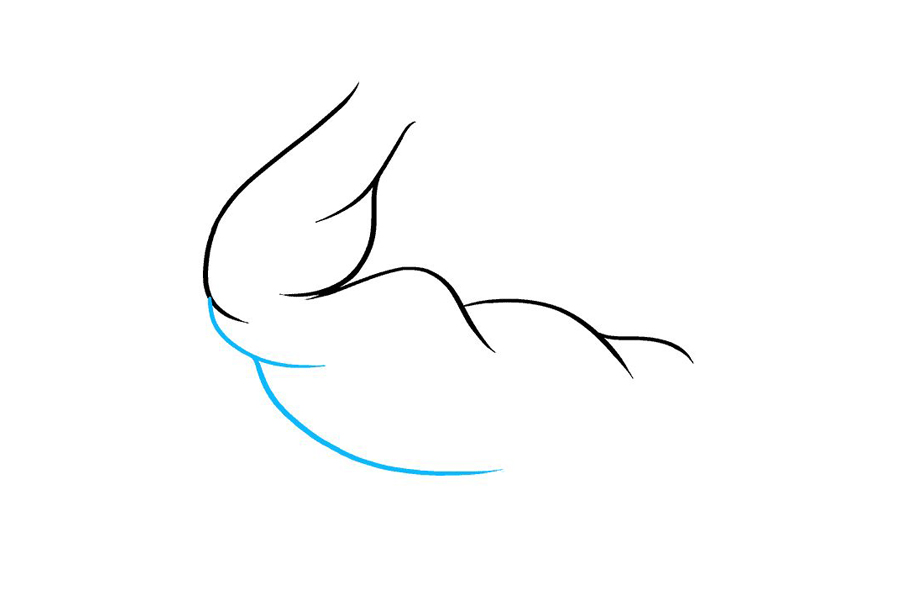 如何画二头肌-图5