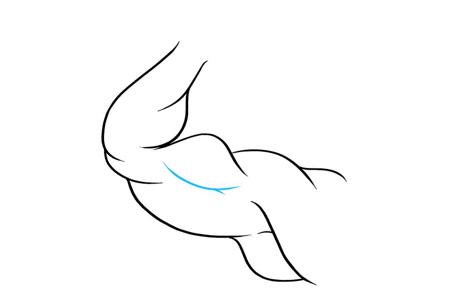 如何画二头肌-图7