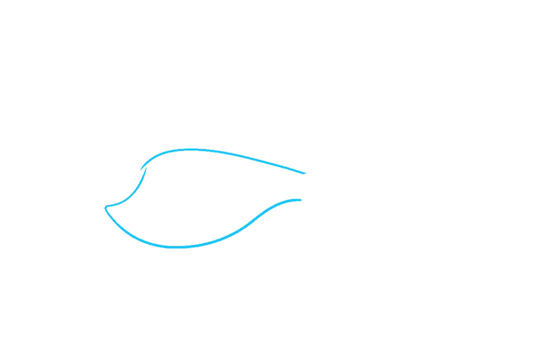 马尾斗鱼怎么画-图1