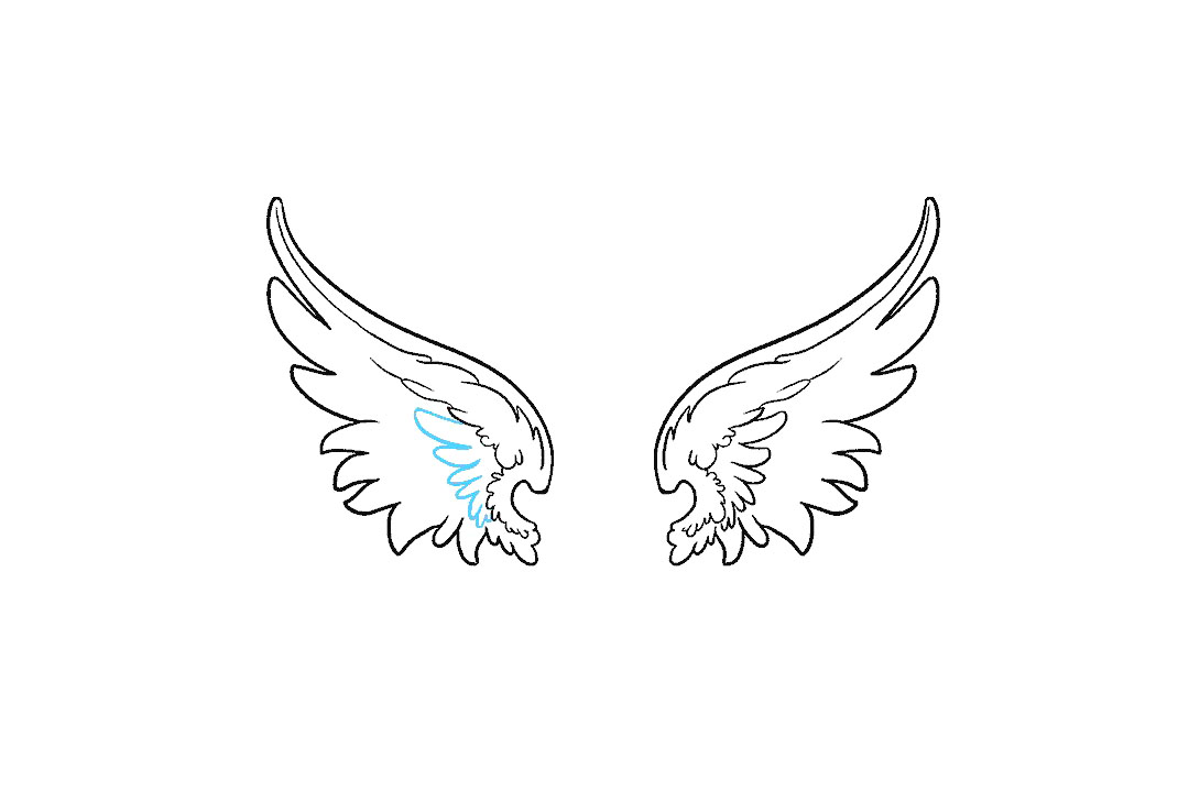 天使的翅膀怎么画-图13