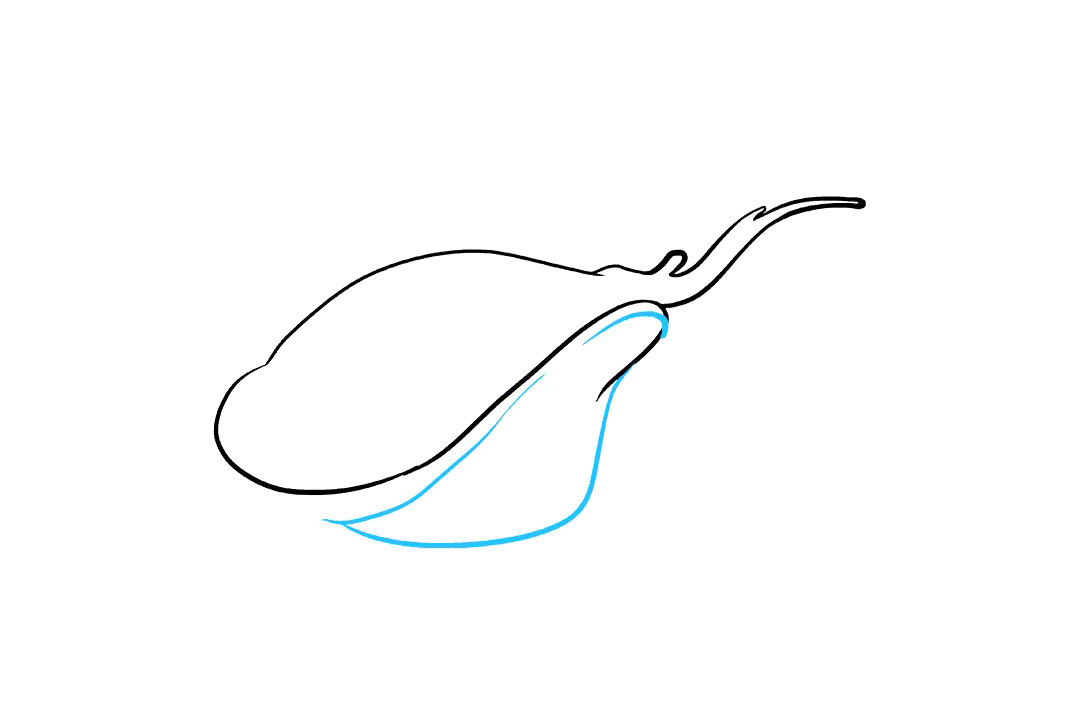 赤魟鱼怎么画-图3