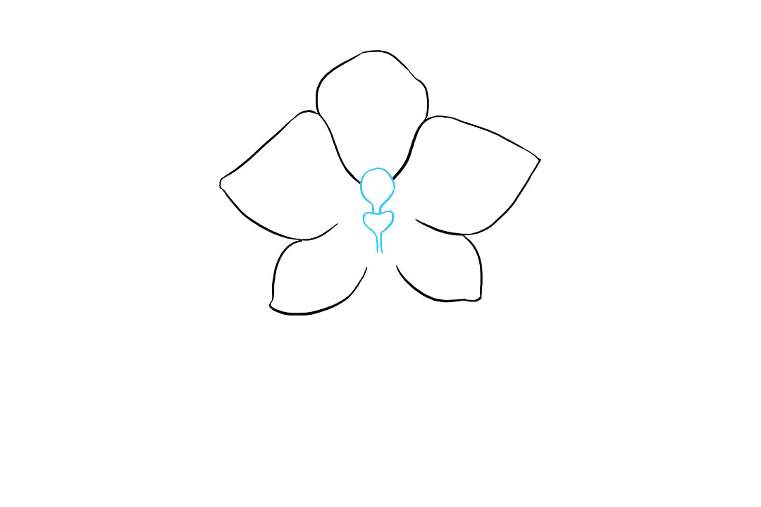 兰花的画法-图4