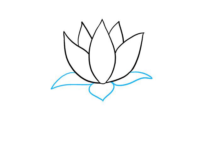 荷花怎么画-图5