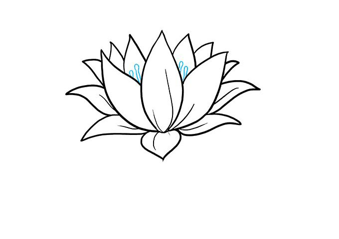 荷花怎么画-图8