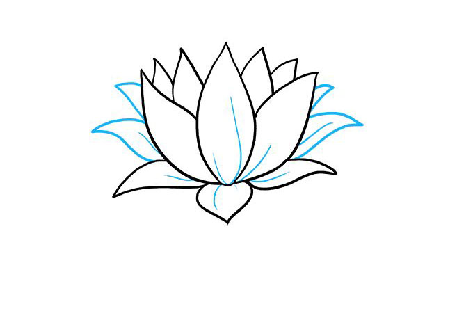 荷花怎么画-图7