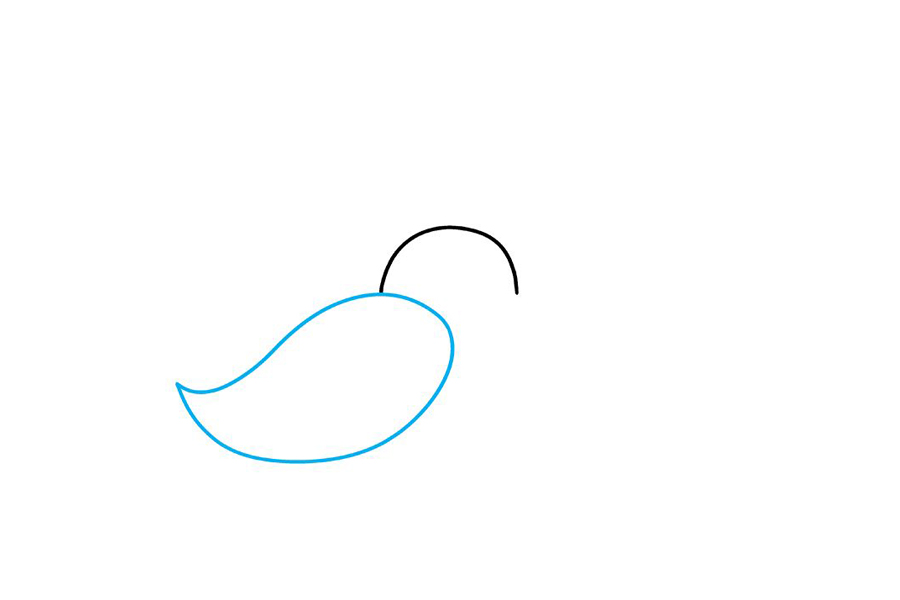 如何画大胡子-图2