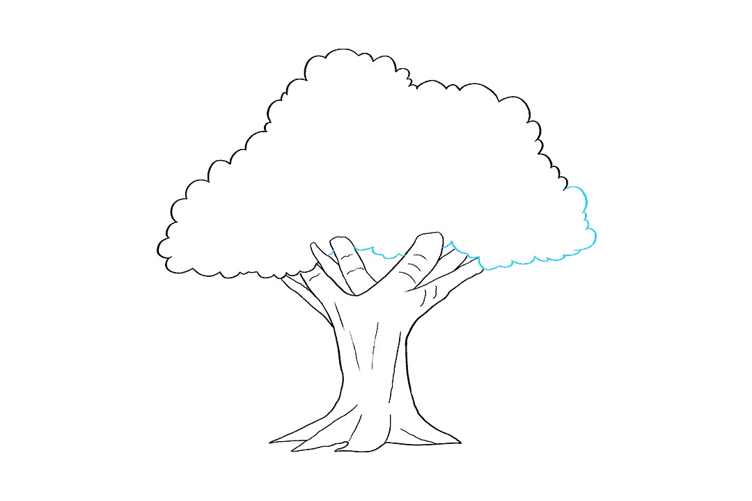 如何画橡树简笔画-图7