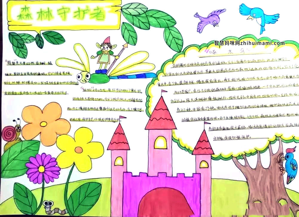 保护森林，森林防火手抄报-图2