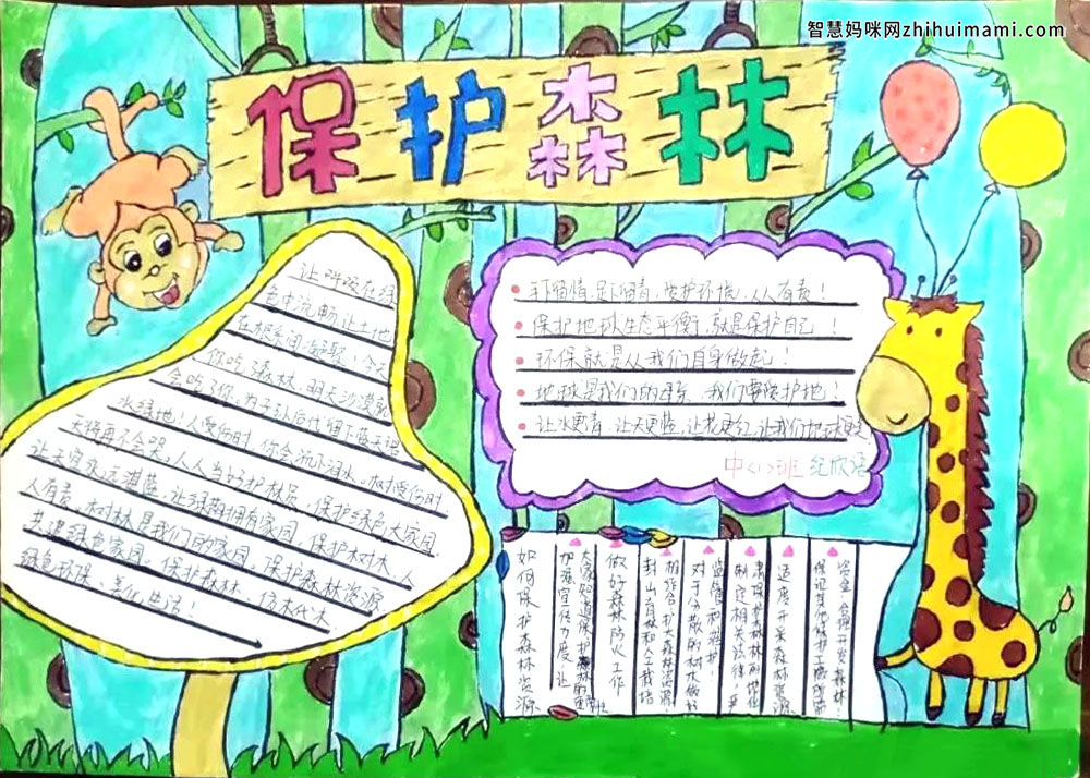 保护森林，森林防火手抄报-图7