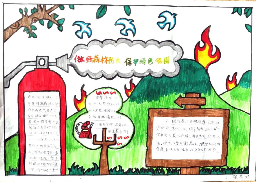 “做好森林防火，保护绿色家园”主题手抄报-图2