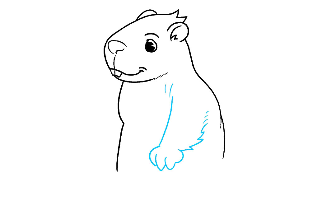 如何画土拨鼠简笔画-图5