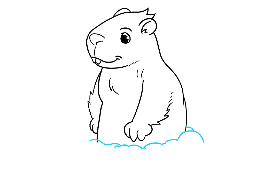 如何画土拨鼠简笔画-图7
