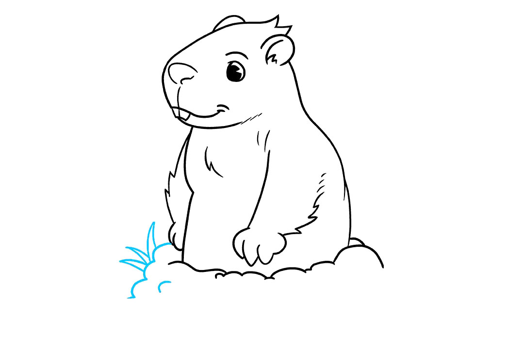 如何画土拨鼠简笔画-图8