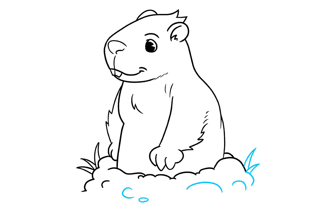 如何画土拨鼠简笔画-图9